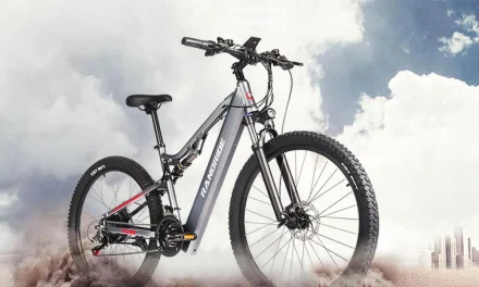 RANDRIDE YG90A e-bike: Erő és szabadság a városban és terepen