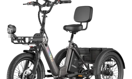 5 ok amiért a FAFREES F20 Mate II elektromos háromkerekű ideális választás