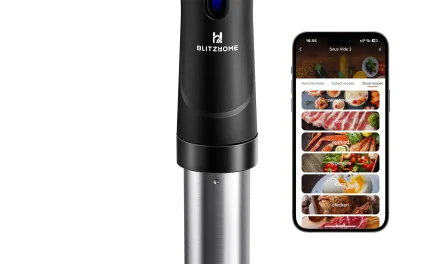BlitzHome SV2209 Sous Vide főző precíziós főzés applikációval a tesztvaroson